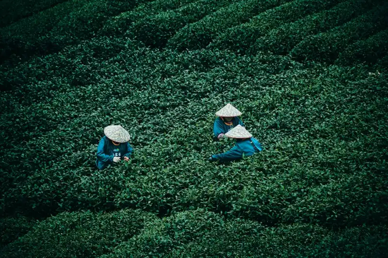 智能照明控制模块与空调温控器在商业建筑中的联动节能实践