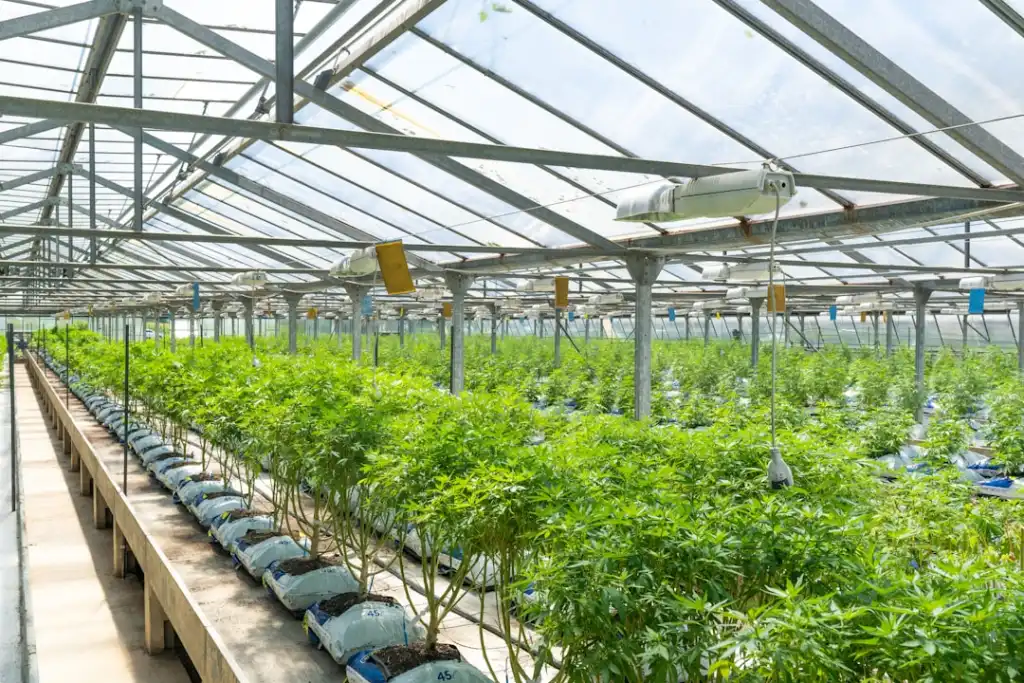 上海悦飞溪楼宇自控系统产品选型及技术参数对比分析