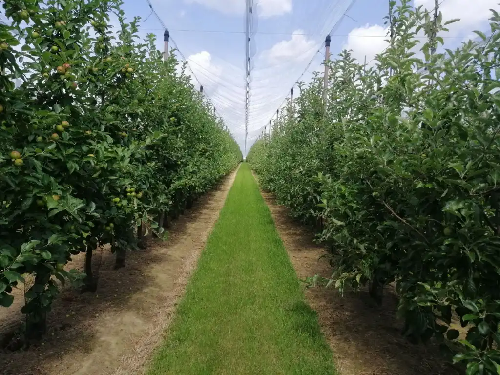 上海悦飞溪智能照明控制模块在商业建筑中的节能应用方案